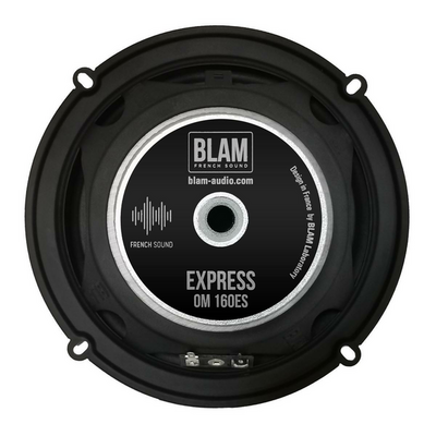 Акустика Blam OM160ES13