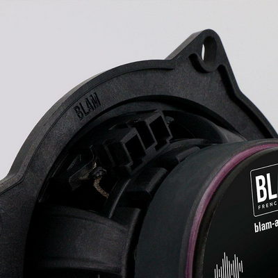 Акустика Blam BM 100FS