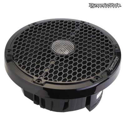 Акустика Dynamic State TRITON TS-X20B Black