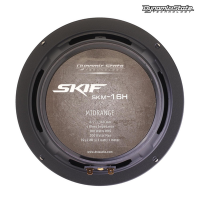 Акустика Dynamic State SKIF SKM-16H (пара)