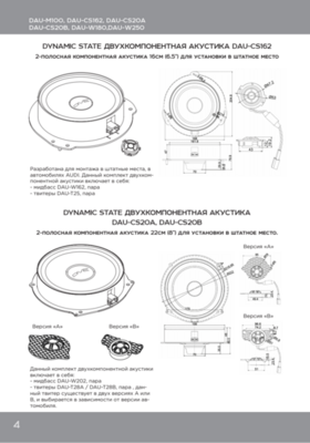 Акустика Dynamic State DAU-CS20A DIVE Audi