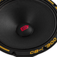 Акустика ACV  SPL SHOW CHAMPIONS C8-M300 СЧ  (пара)